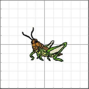 Animales_029