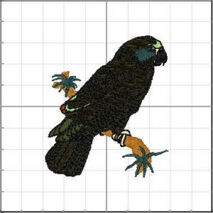Animales_030
