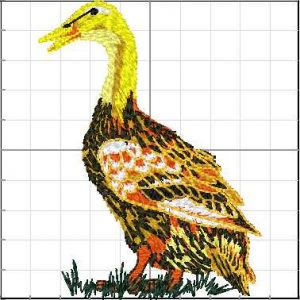 Animales_Granja_a32