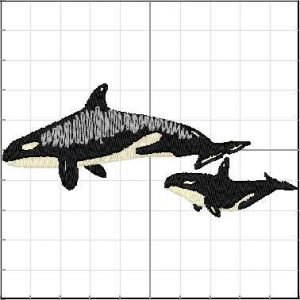 Animales_Marinos_a13