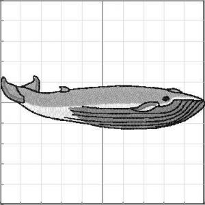 Animales_Marinos_a36