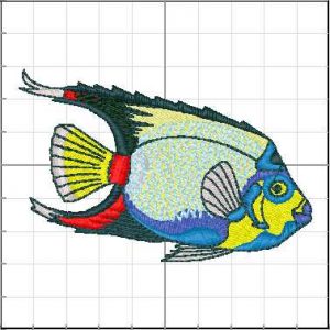 Animales_Marinos_a41