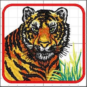 Animales_Salvajes_004
