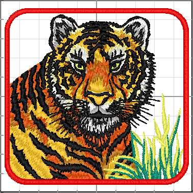Animales_Salvajes_004