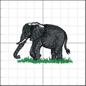 Animales_Salvajes_007
