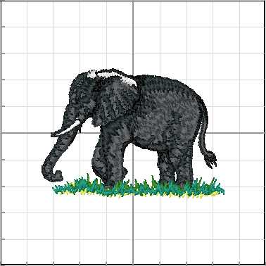 Animales_Salvajes_007