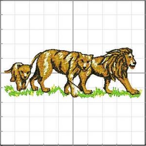 Animales_Salvajes_010