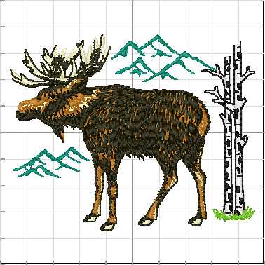 Animales_Salvajes_011