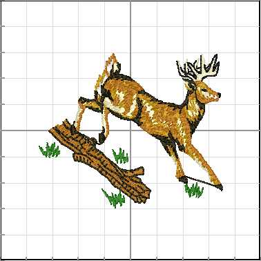 Animales_Salvajes_013
