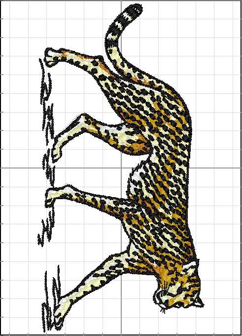 Animales_Salvajes_025