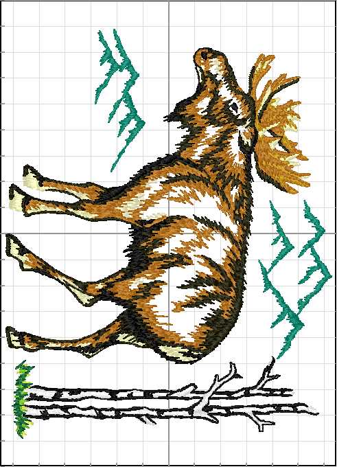 Animales_Salvajes_028