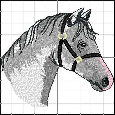 Caballos_029