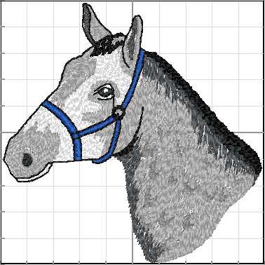 Caballos_030