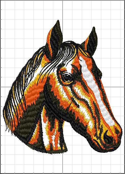 Caballos_078
