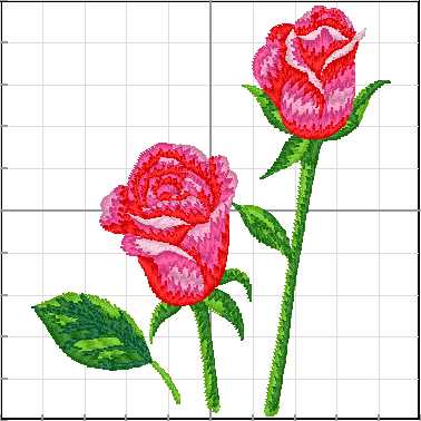 Flores_063