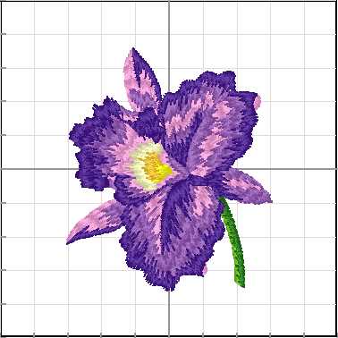 Flores_071