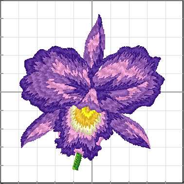 Flores_072