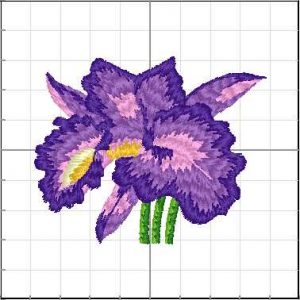 Flores_073