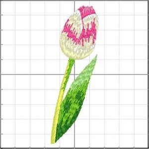 Flores_074