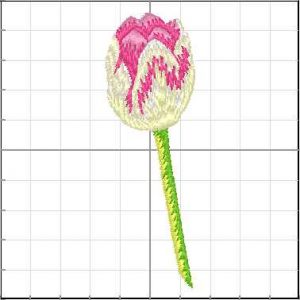 Flores_075