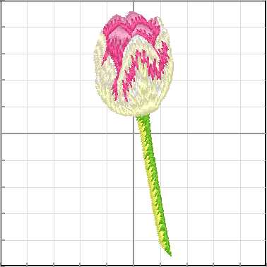 Flores_075