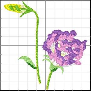 Flores_080