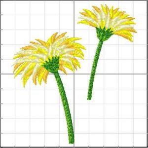 Flores_086