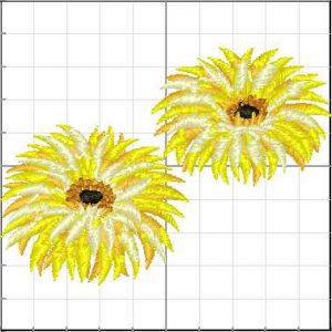 Flores_087