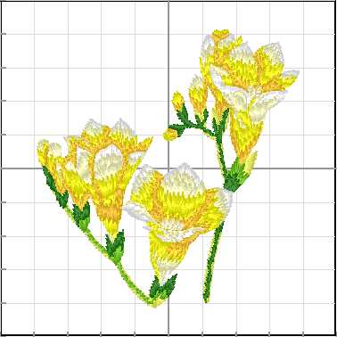 Flores_089