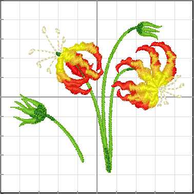 Flores_095