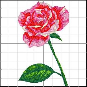 Flores_101