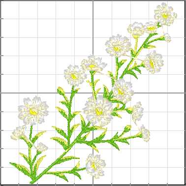 Flores_103