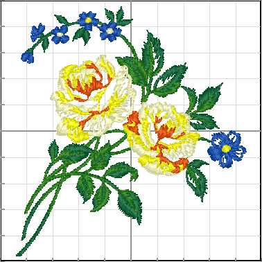 Flores_146
