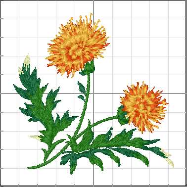 Flores_151