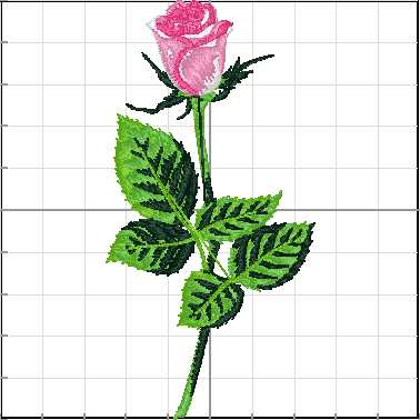 Flores_167