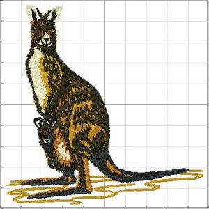 animales_australia_A01