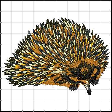 animales_australia_A05