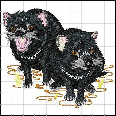 animales_australia_A08