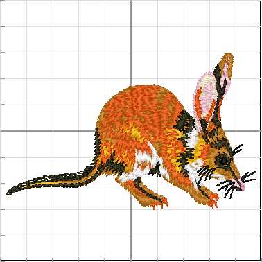 animales_australia_A14