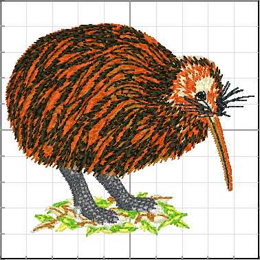 animales_australia_A16