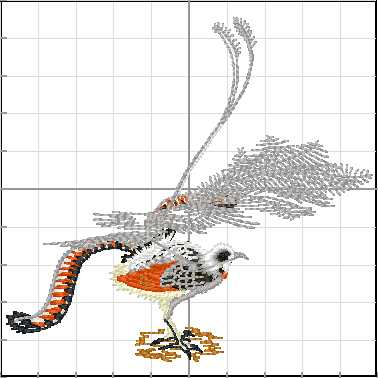 animales_australia_A18